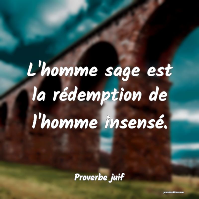 L Homme Sage Est La Redemption De L Homme Insens