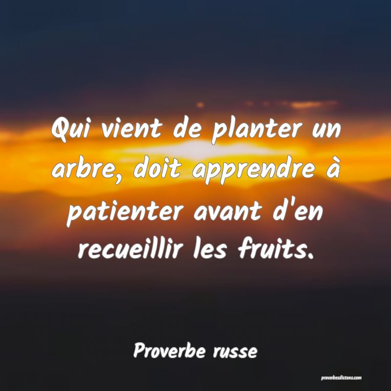 Qui vient de planter un arbre, doit apprendre à patienter avant d'en recueillir les fruits.