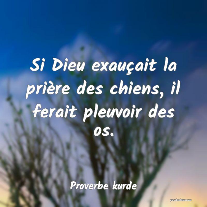 Si Dieu exauçait la prière des chiens, il ferait...