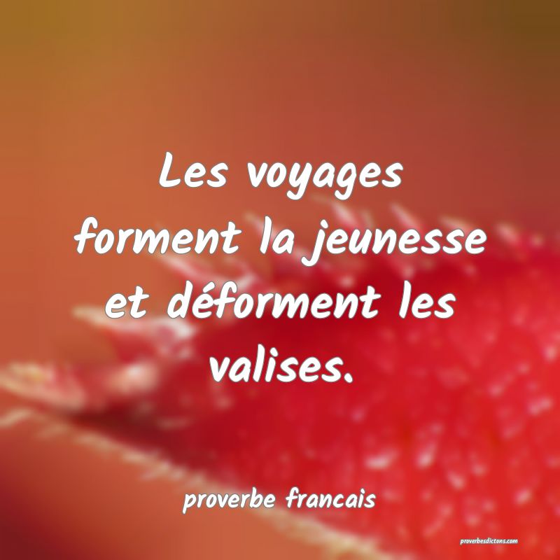 Les voyages forment la jeunesse pdf