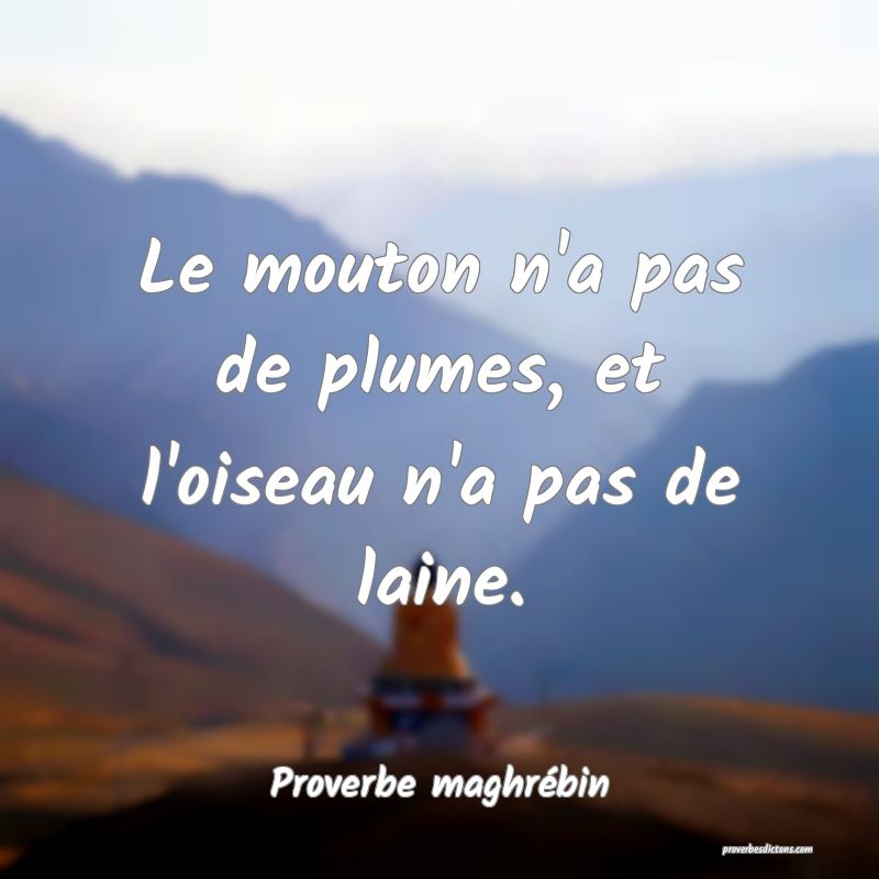 Le mouton n'a pas de plumes, et l'oiseau n'a pas de laine.