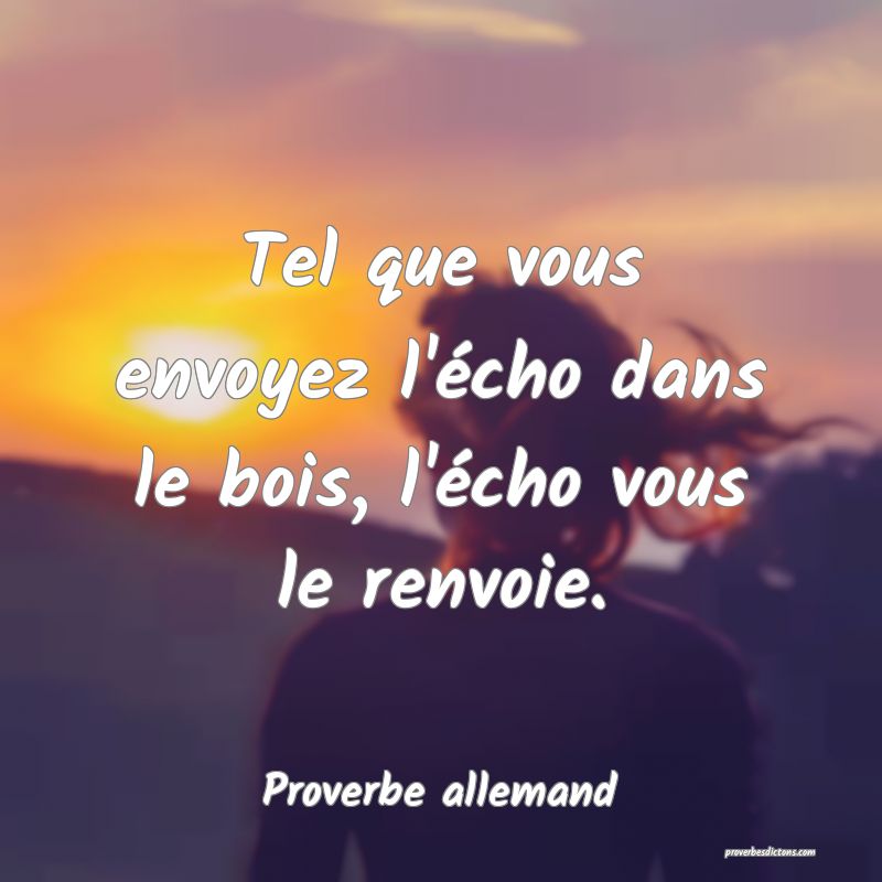 Tel que vous envoyez l'écho dans le bois, l'écho vous le renvoie.