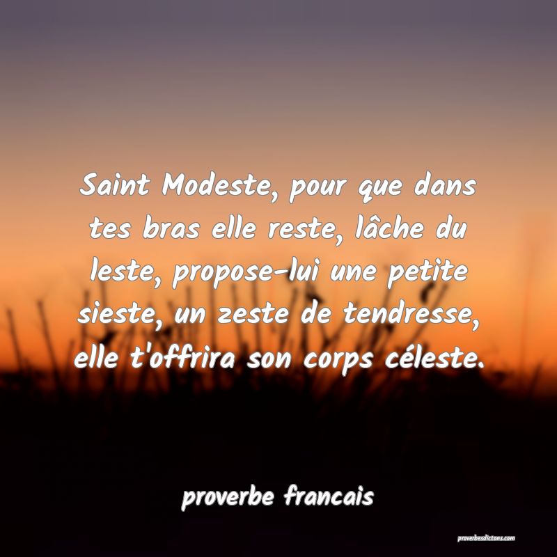 proverbe francais - Saint Modeste, pour que dans t ... 