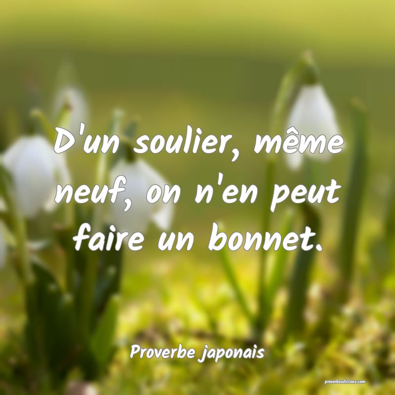 Même la pensée d'une fourmi peut toucher le ciel...