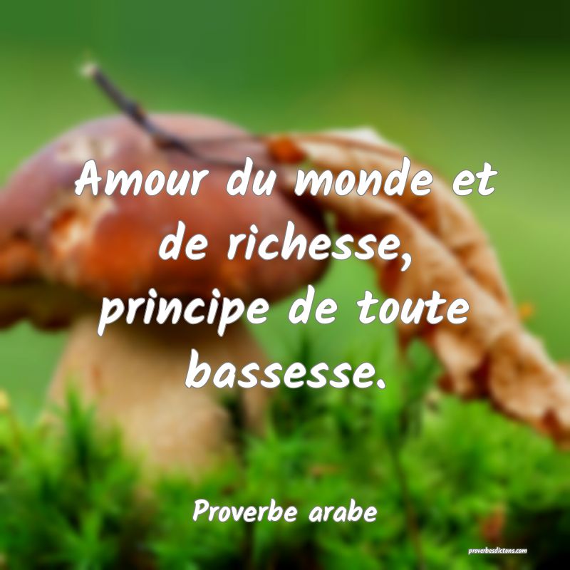 Amour Du Monde Et De Richesse Principe De Toute B