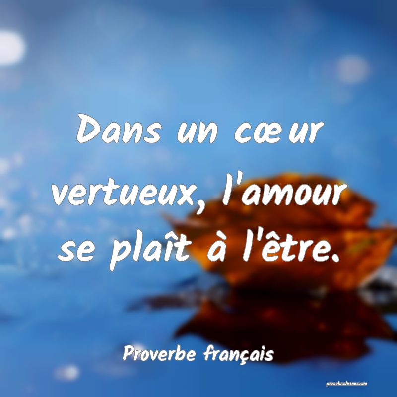 Proverbe français - Dans un cur vertueux, l'amo ... 