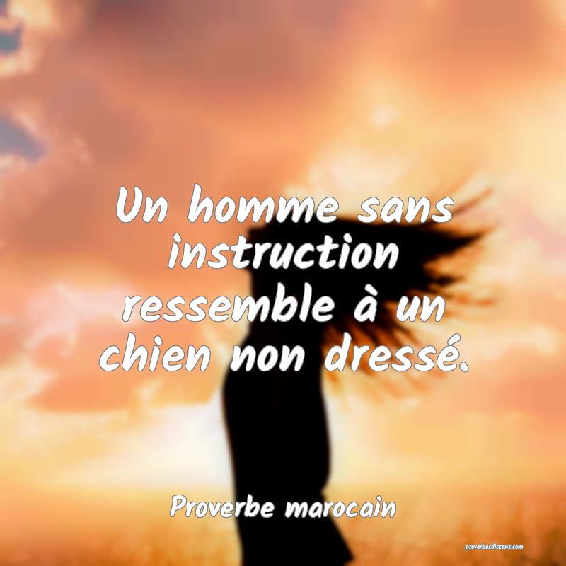 Un homme sans instruction ressemble à un chien non dressé.