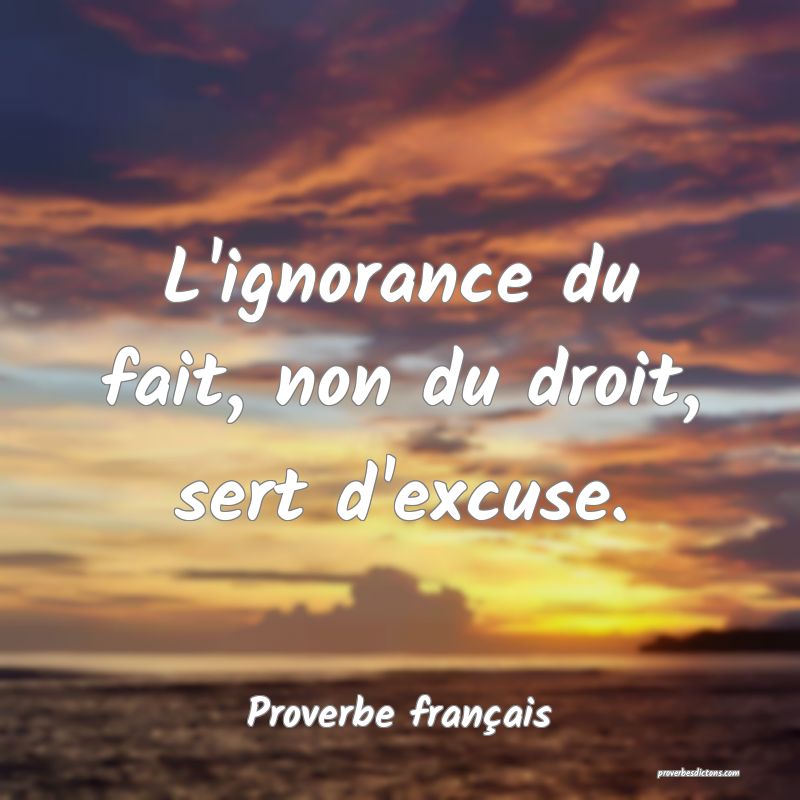 L Amour Ne Sert D Excuse A Rien De Notre Caract