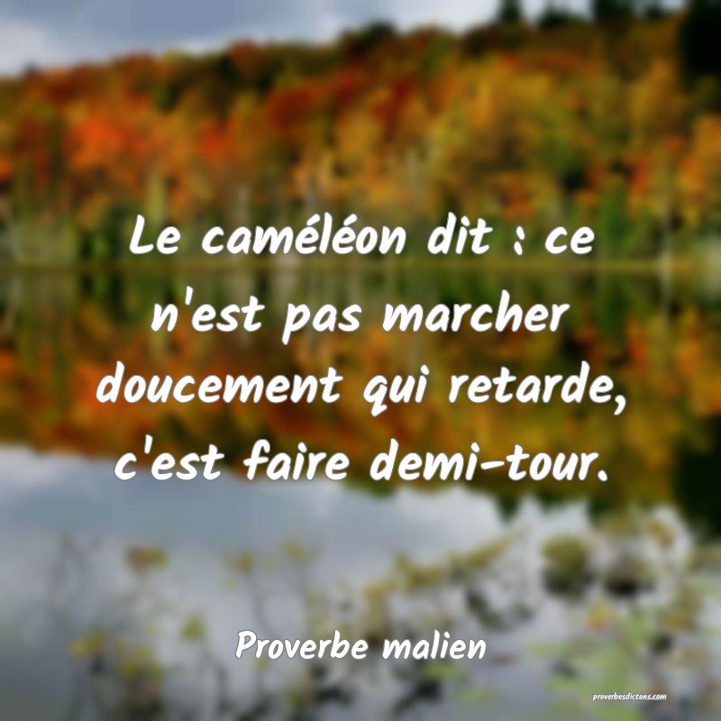 [56] Proverbe Malien Sur La Vie - Télécharger