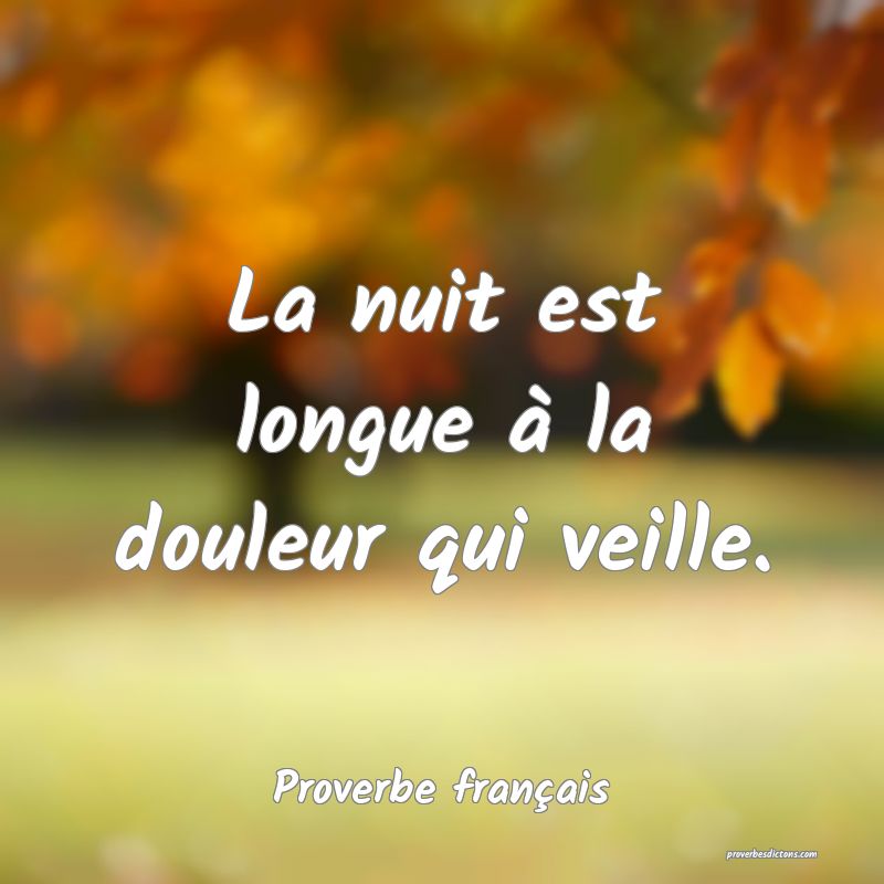 Proverbe français - La nuit est longue à la doul ... 