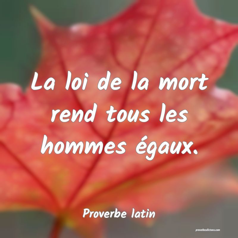 Pour L Amour Divin Tous Les Hommes Sont Egaux