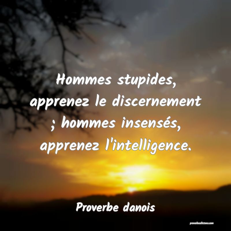 Hommes Stupides Apprenez Le Discernement Hommes