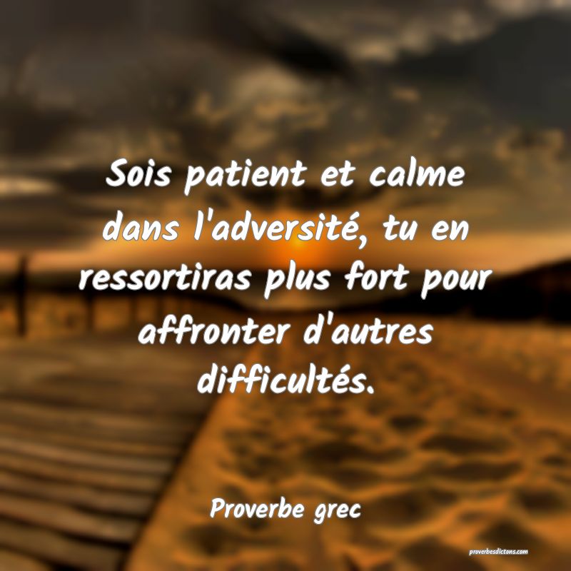 Sois Patient Et Calme Dans L Adversite Tu En Res