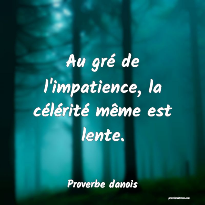 Au Gre De L Impatience La Celerite Meme Est