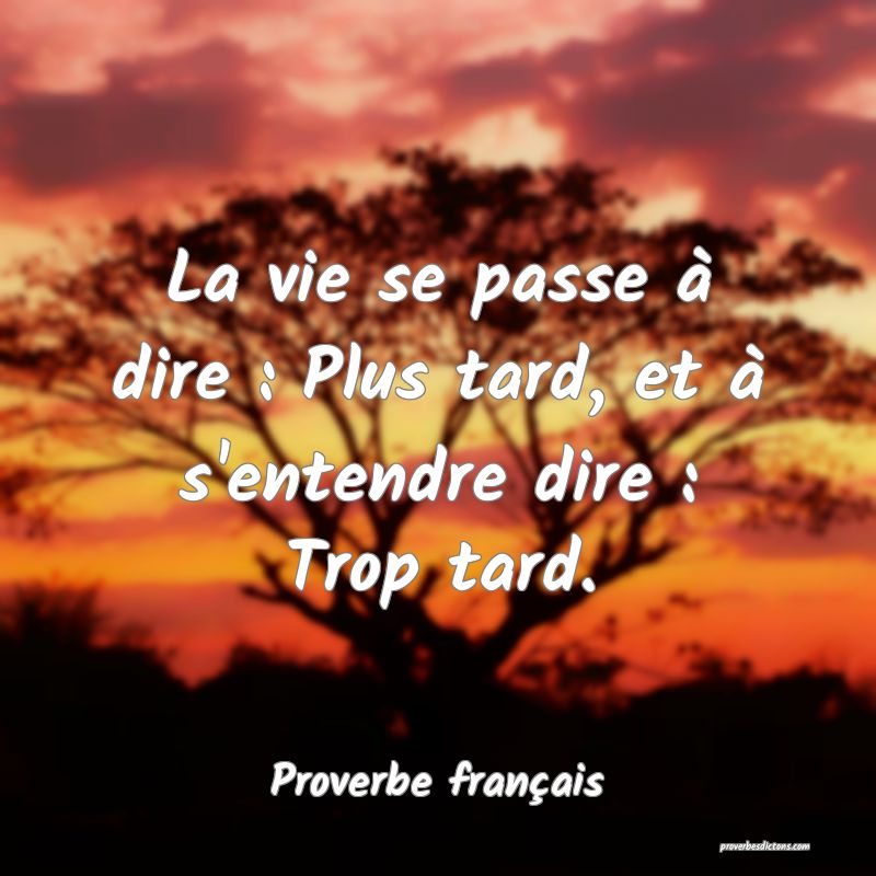 La vie se passe à dire : Plus tard, et à s'entendre dire : Trop tard.