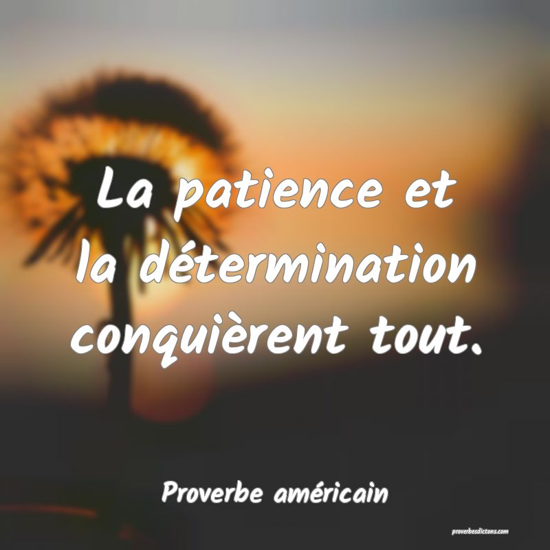Proverbe Sur La Patience Et Ses Limites