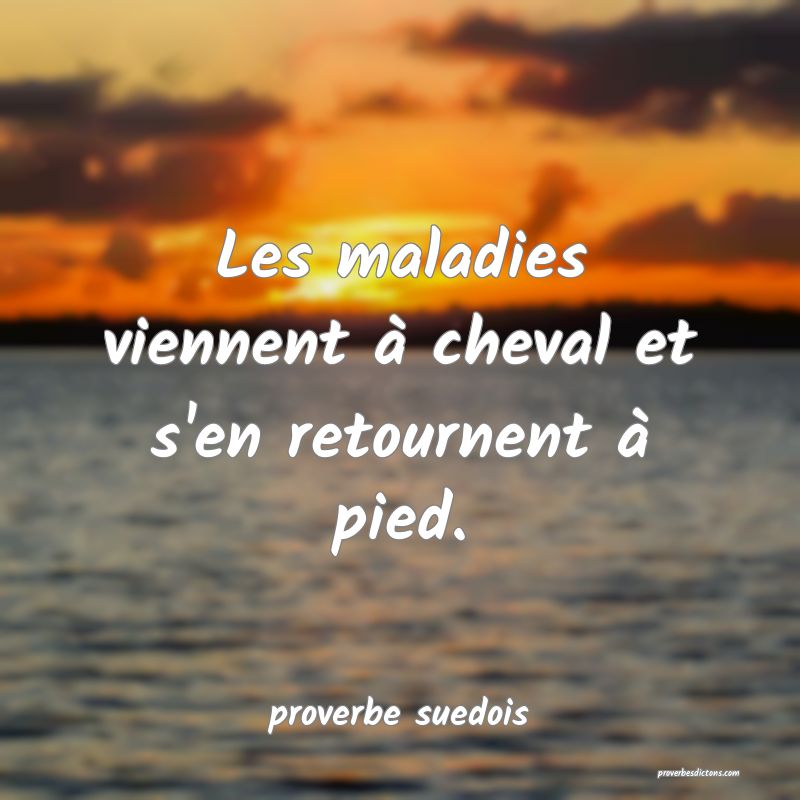 Les maladies viennent à cheval et s'en retournent à pied.