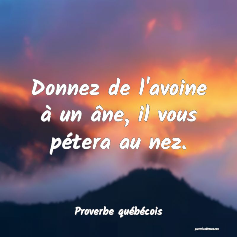 Proverbe québécois -  Donnez de l'avoine à un � ... 