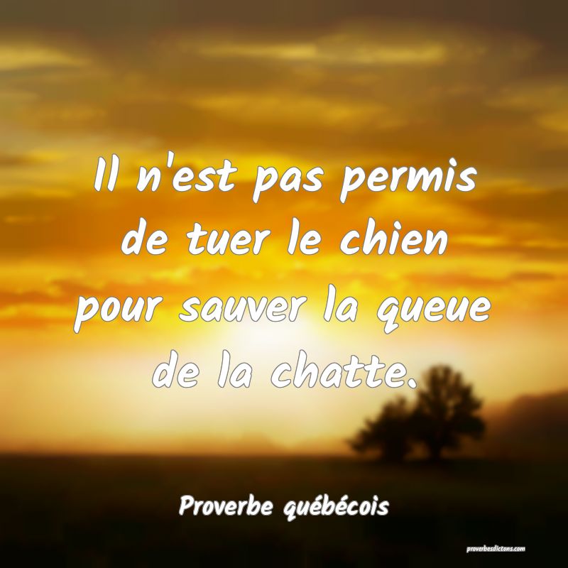 Proverbe québécois -  Il n'est pas permis de tue ... 