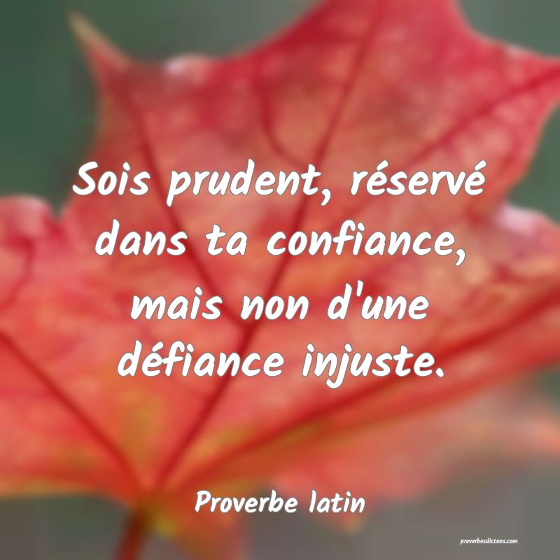 proverbes sur les nouvelles rencontres