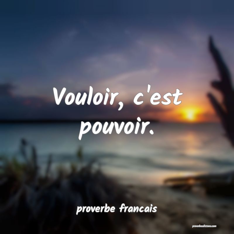 Vouloir C est Pouvoir 