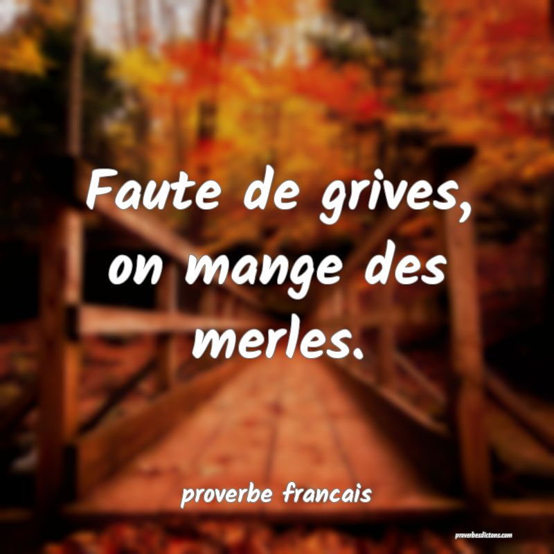 Faute De Grives On Mange Des Merles