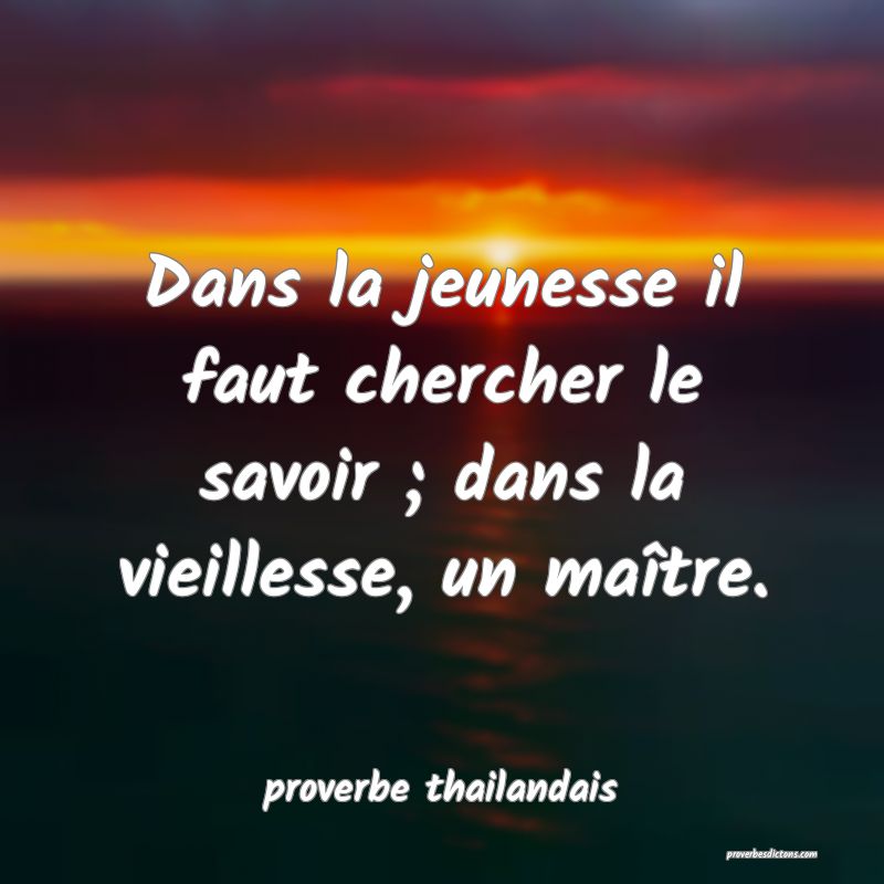 Dans la jeunesse il faut chercher le savoir ; dans...