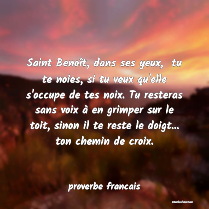 proverbe francais -  Saint Benoît, dans ses yeux, ... 