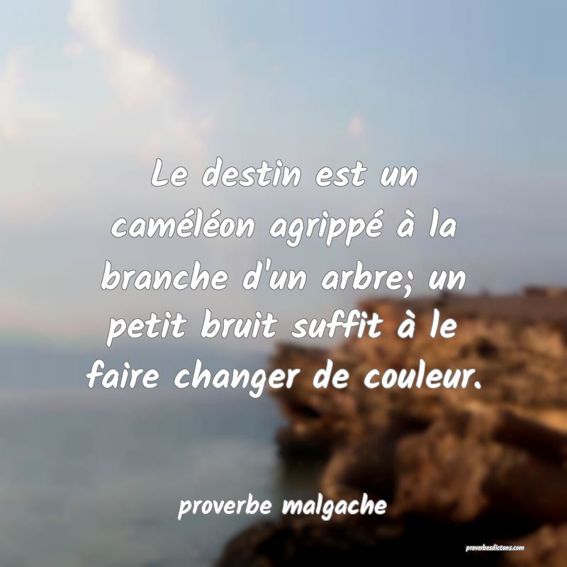  Le destin est un caméléon agrippé à la branche d'un arbre; un petit bruit suffit à le faire changer de couleur.