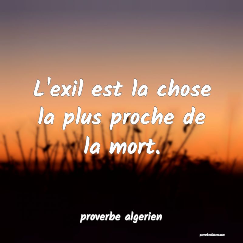  L'exil est la chose la plus proche de la mort.