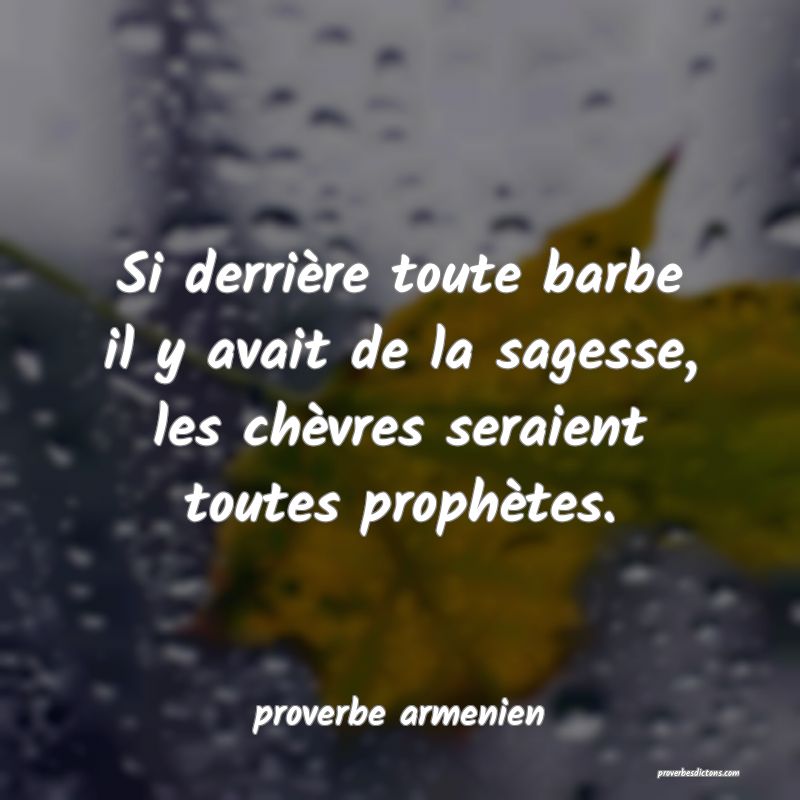  Si derrière toute barbe il y avait de la sagesse, les chèvres seraient toutes prophètes.