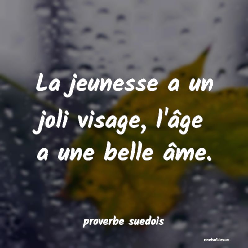 Proverbe Sur La Jeunesse