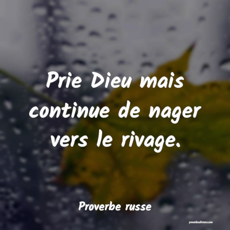 Prie Dieu Mais Continue De Nager Vers Le Rivage