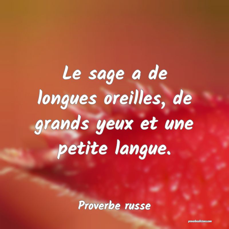 Le Sage A De Longues Oreilles De Grands Yeux Et U