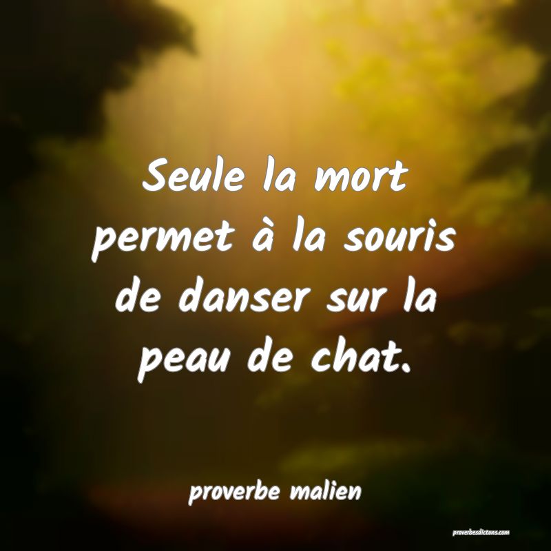 Le Lion Est Mort Mais Sa Peau Est La