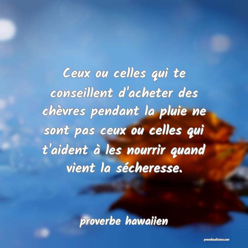 Ceux ou celles qui te conseillent d'acheter des chèvres pendant la pluie ne sont pas ceux ou celles qui t'aident à les nourrir quand vient la sécheresse.