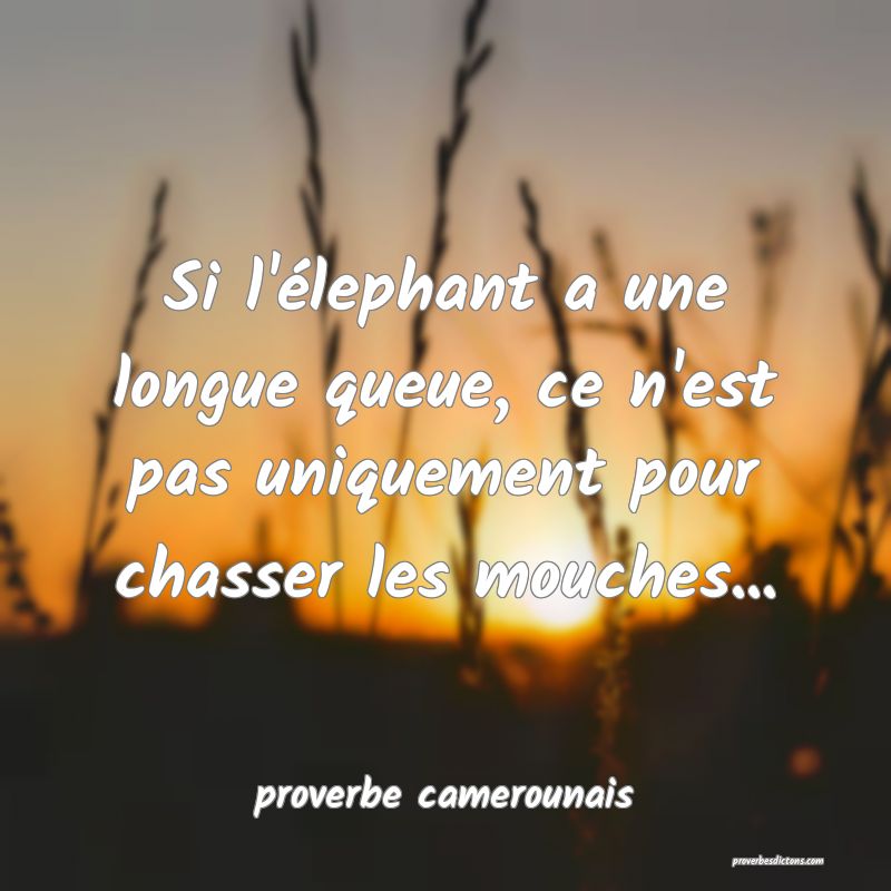 Qui A Une Grande Langue A Aussi Une Longue Queue