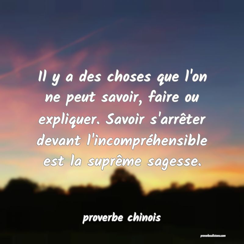 Il y a des choses que l'on ne peut savoir, faire ou expliquer. Savoir s'arrêter devant l'incompréhensible est la suprême sagesse.
