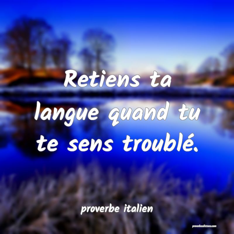 proverbe italien -  Retiens ta langue quand tu te  ... 