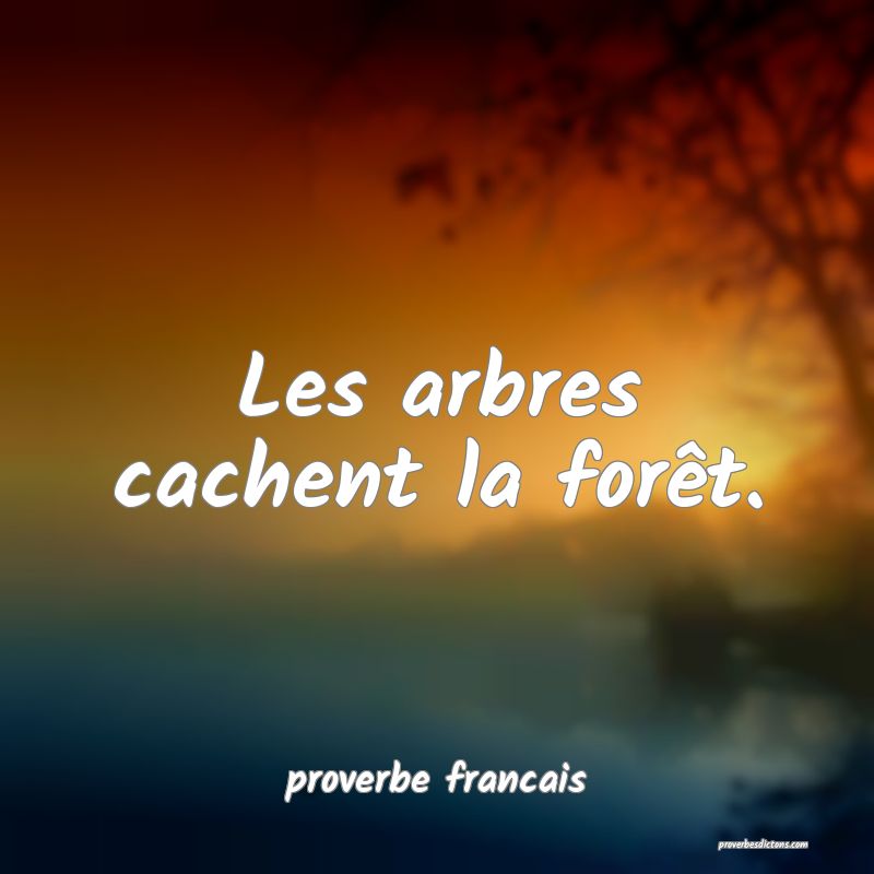 Quand La Hache Penetra Dans La Foret Les Arbre