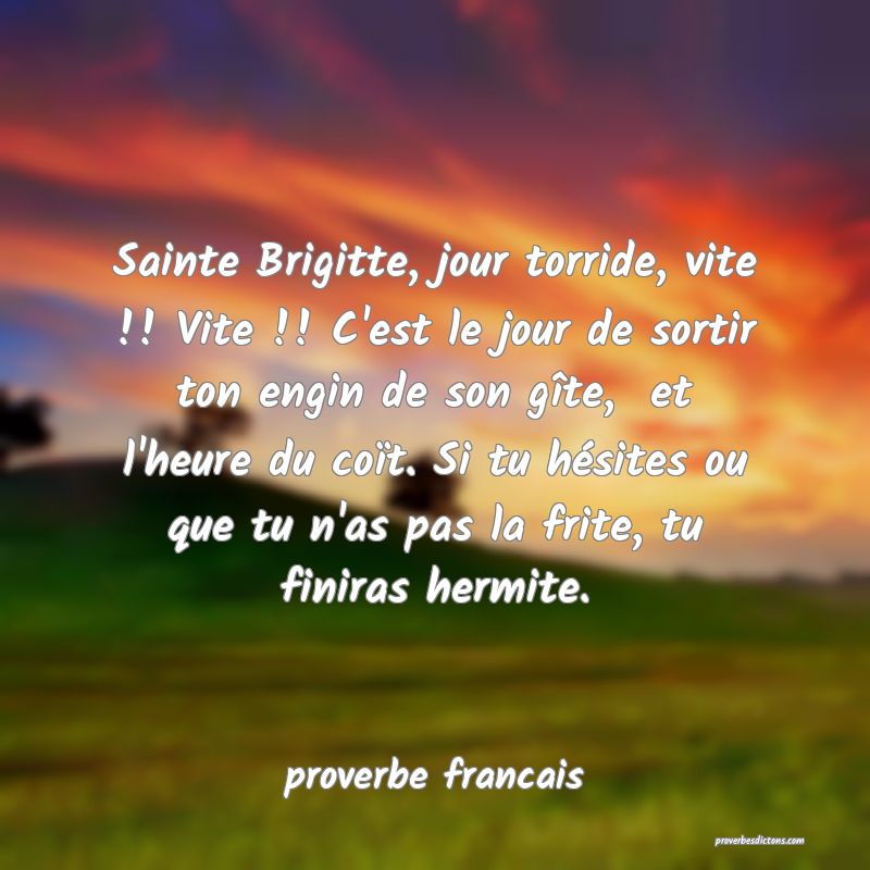 Sainte Brigitte, jour torride, vite !! Vite !! C'e...