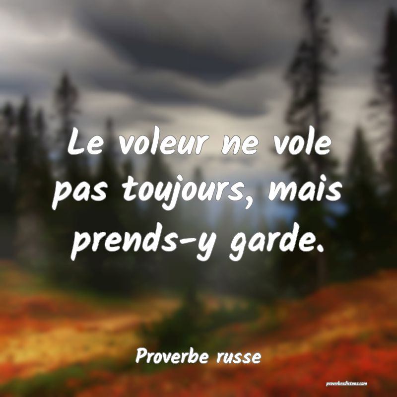 Le Voleur Ne Vole Pas Toujours Mais Prends Y Gard