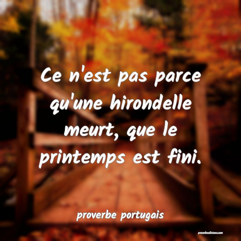 Ne Pleurez Pas Parce Que C Est Fini Mais Souriez