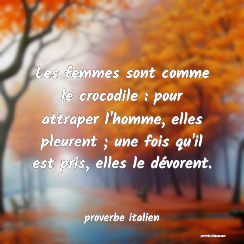 proverbe italien -  Les femmes sont comme le croco ... 