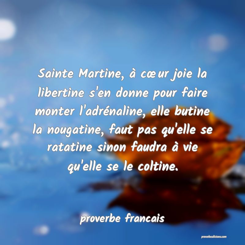 proverbe francais - Sainte Martine, à cur joie  ... 