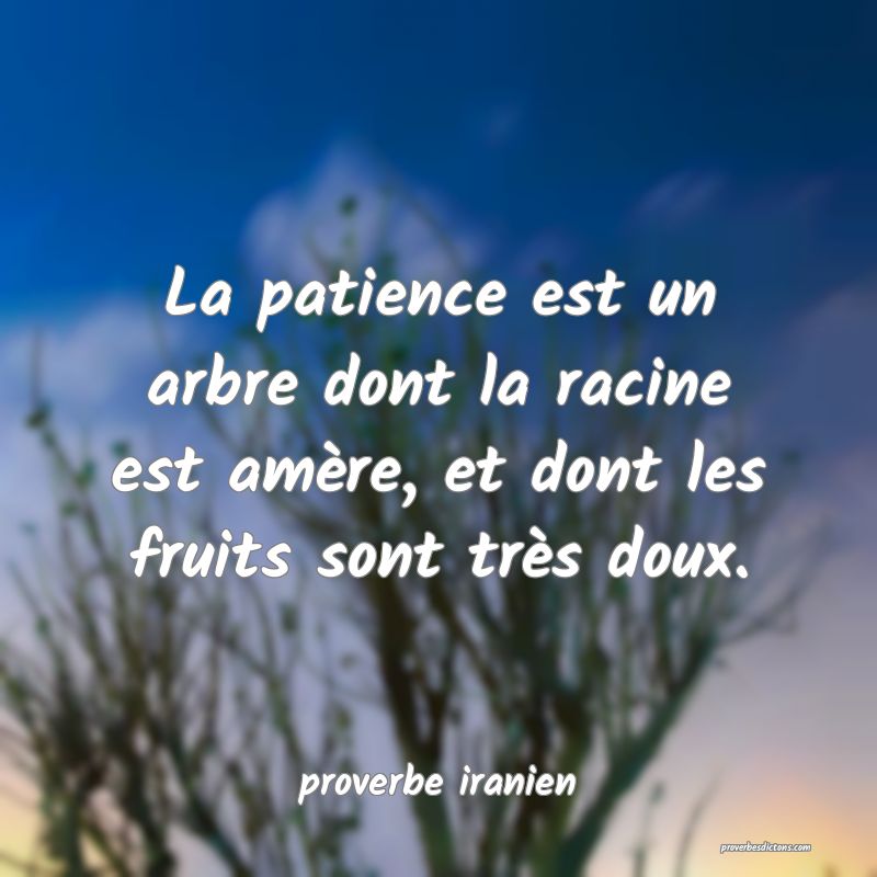  La patience est un arbre dont la racine est amère, et dont les fruits sont très doux.