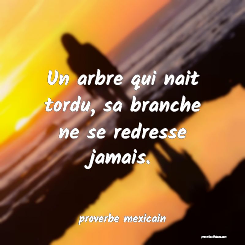 Un Arbre Qui Nait Tordu Sa Branche Ne Se Redresse