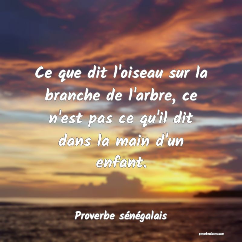 Un Arbre Qui Nait Tordu Sa Branche Ne Se Redresse