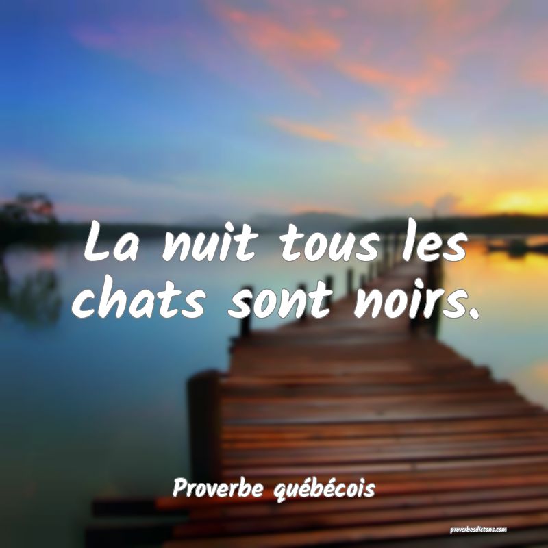  La nuit tous les chats sont noirs.