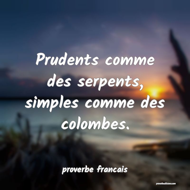  Prudents comme des serpents, simples comme des colombes.
